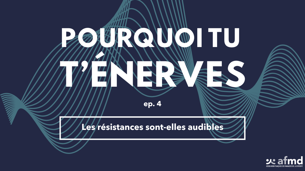 épisode 4 : les résistances sont-elles audibles