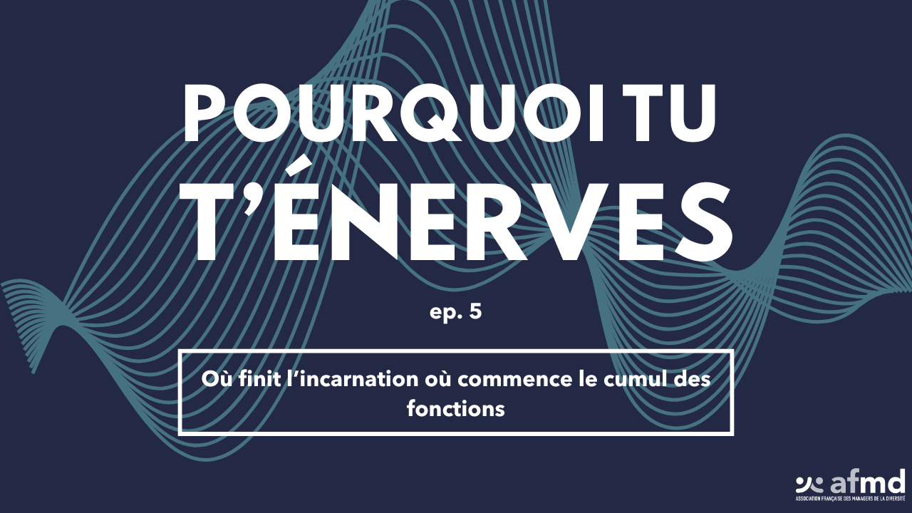 épisode 5 : où finit l'incarnation, où commence le cumul des fonctions