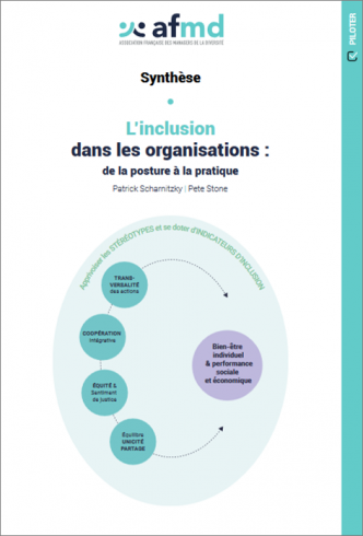 L'inclusion dans les organisations de la posture à la pratique (Synthèse) L'inclusion dans les organisations de la posture à la pratique (Synthèse)