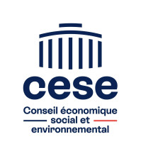 CONSEIL ÉCONOMIQUE, SOCIAL ET ENVIRONNEMENTAL